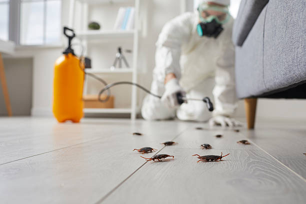 Commercial Kitchen Cockroach Control in Marysville